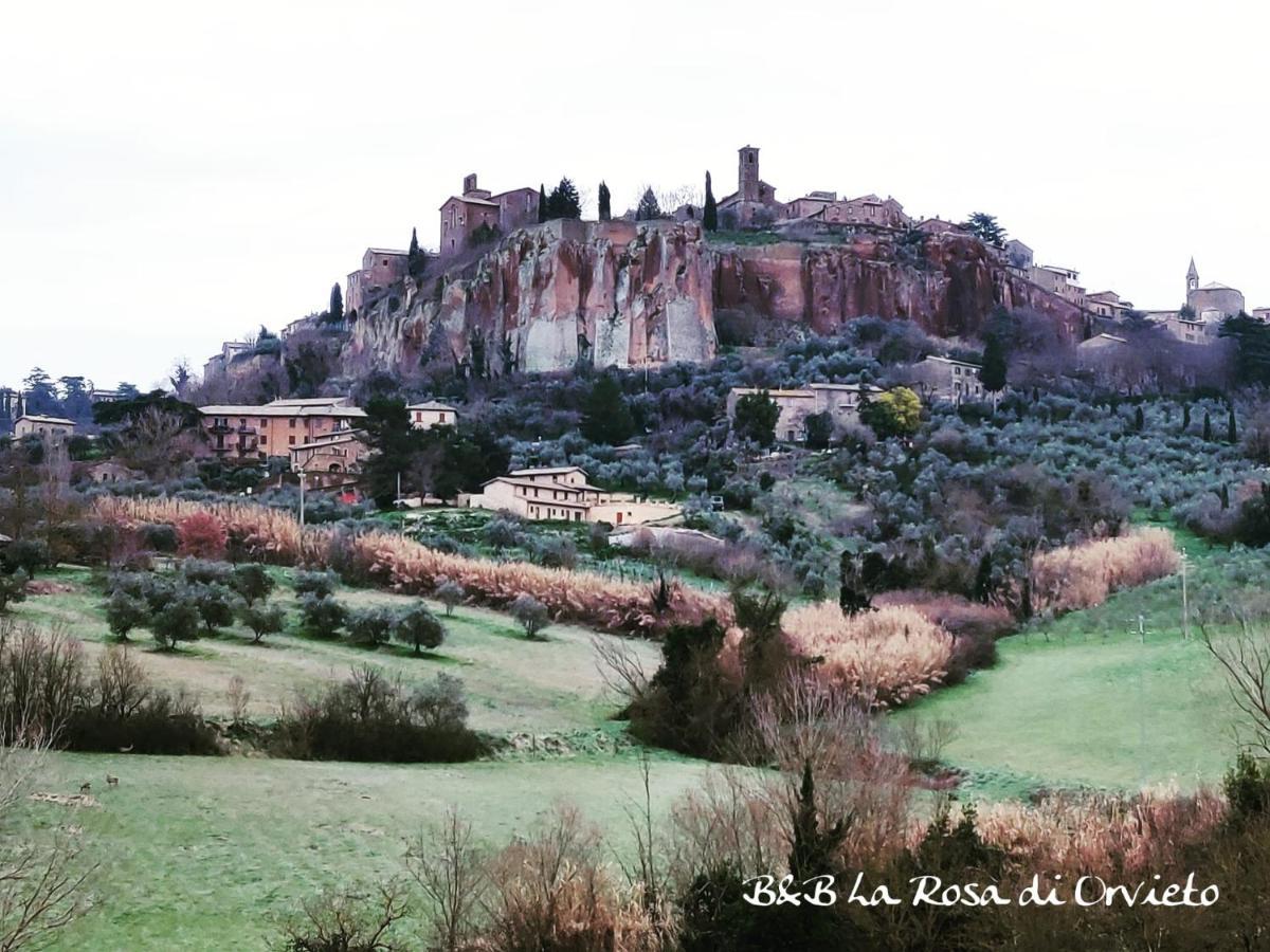 Bed and breakfast La Rosa Di Orvieto Extérieur photo